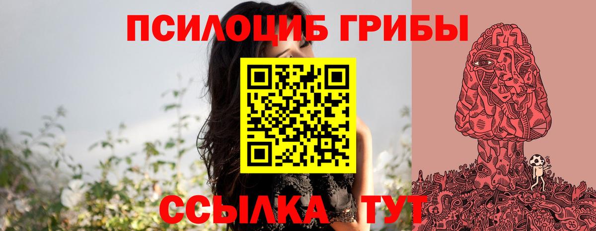 Псилоцибиновые грибы мицелий Гуково